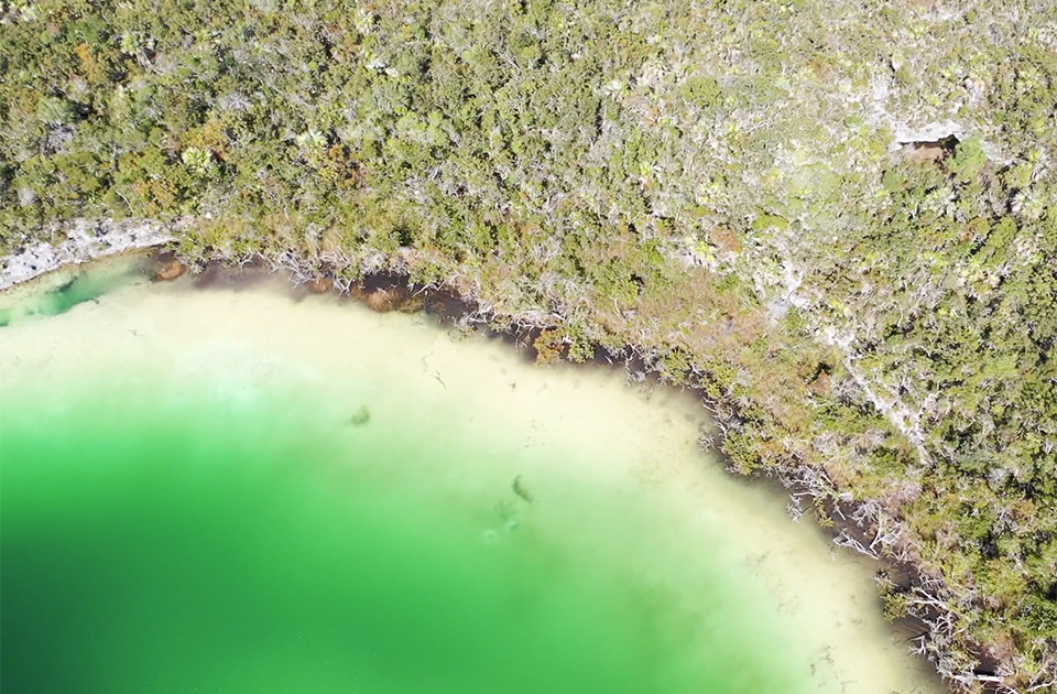 bahamas blue holes