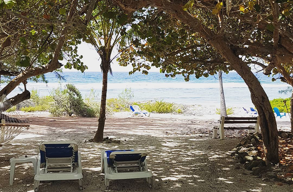 beach hotels caribbean