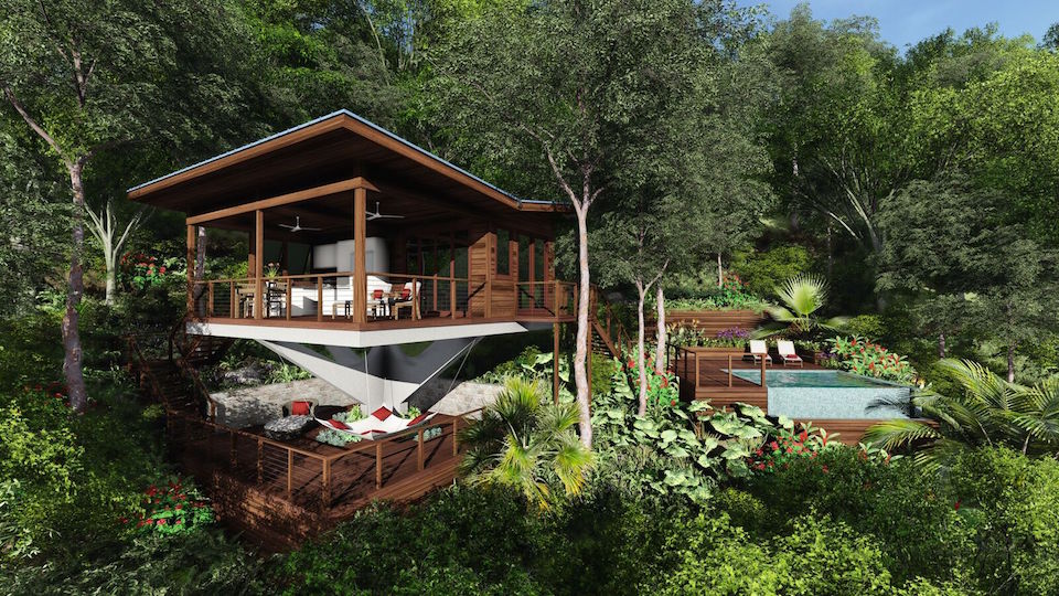 caribbean hotels live