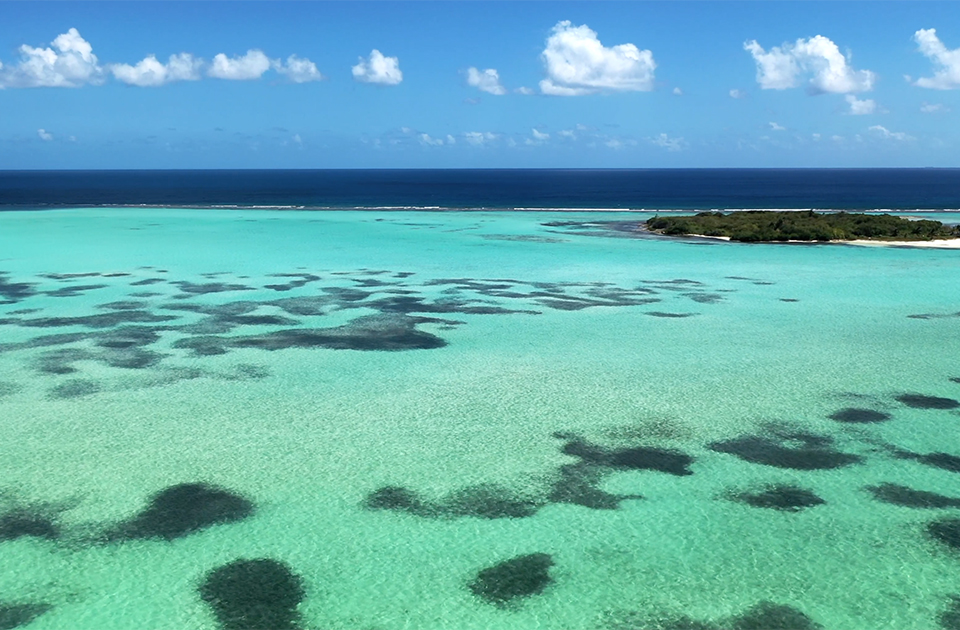 cayman islands travelers little