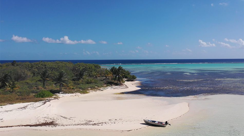 cayman islands tourism reopening plan