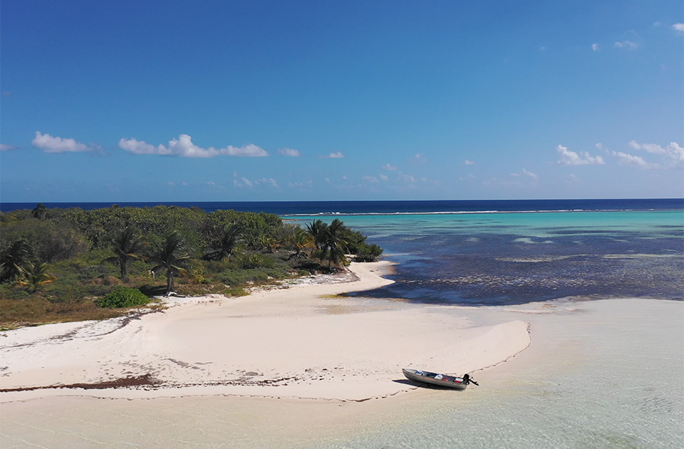 caribbean little cayman