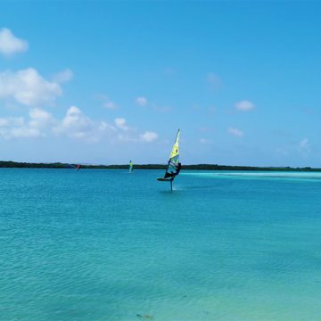 caribbean paradise bonaire