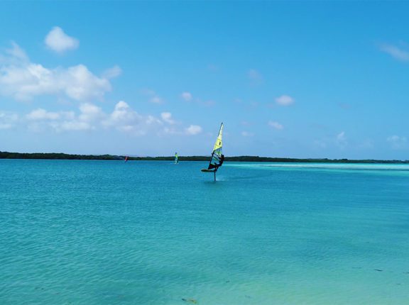 caribbean paradise bonaire