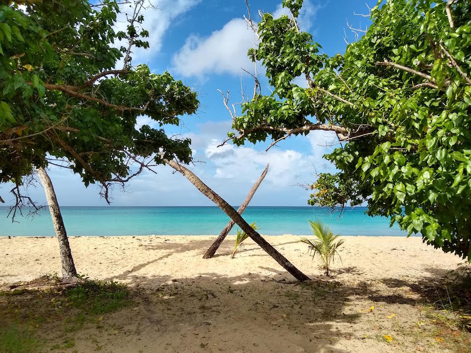 X marks the spot st croix Clearance