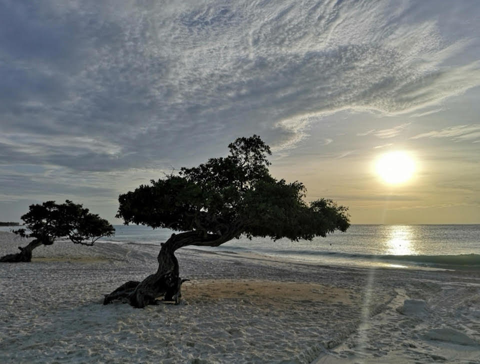 caribbean aruba photo