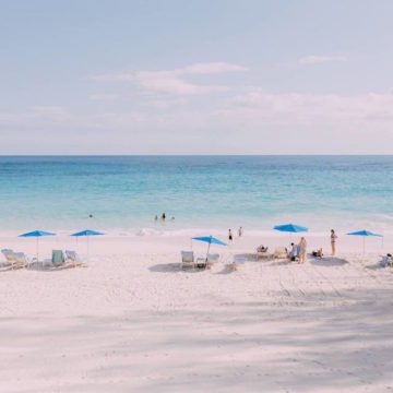 bermuda tourism ceo search