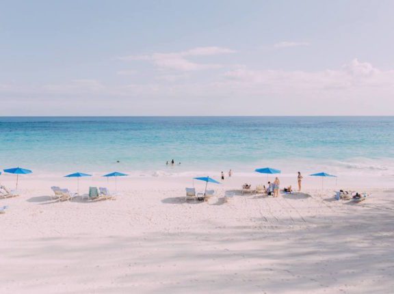 bermuda tourism ceo search