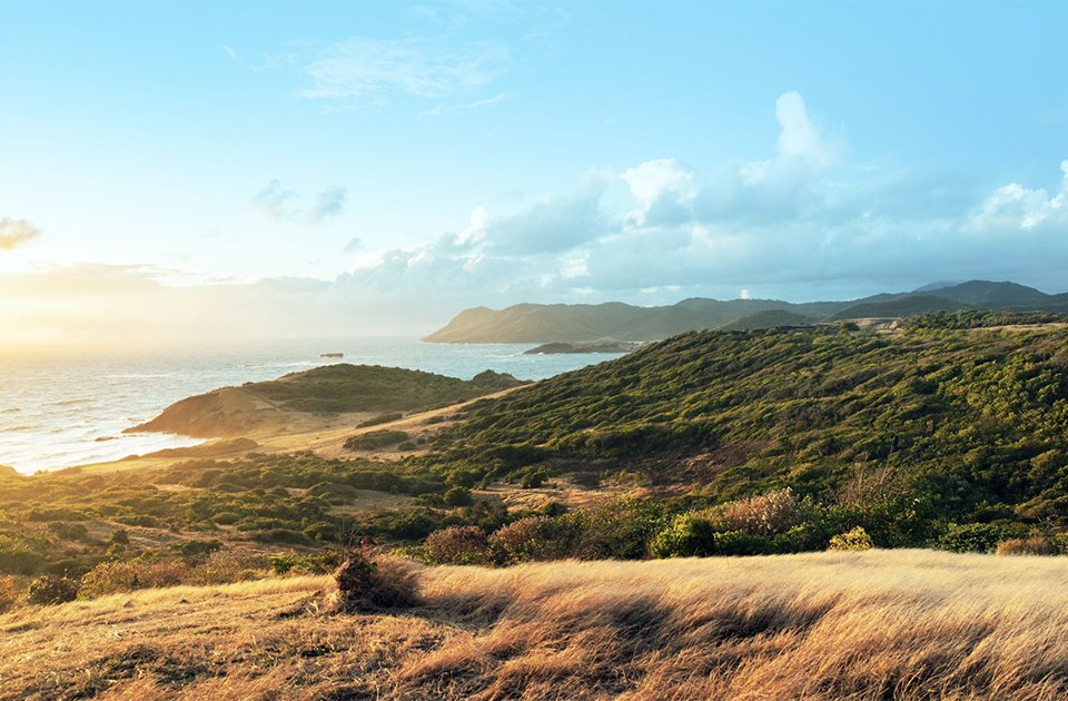 caribbean saint lucia destination