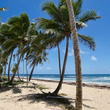 dominican republic adults-only new location