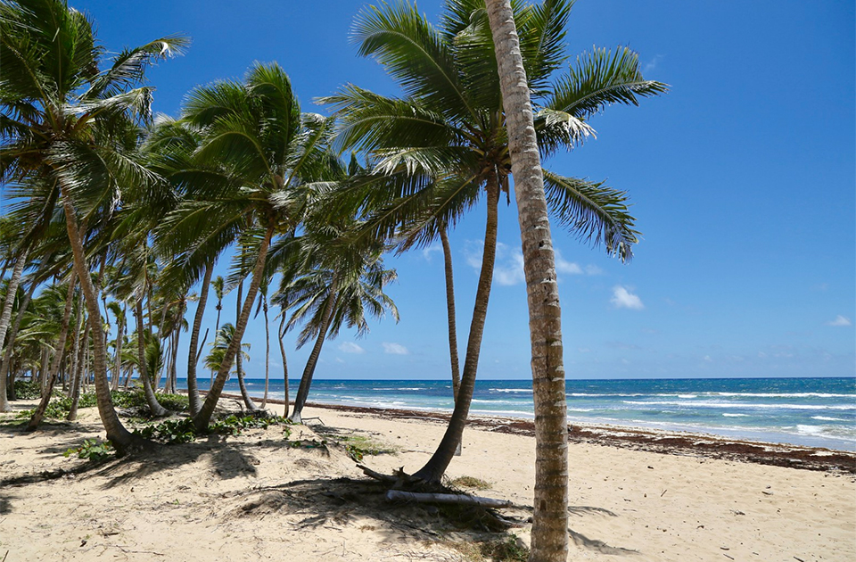 dominican republic adults-only new location