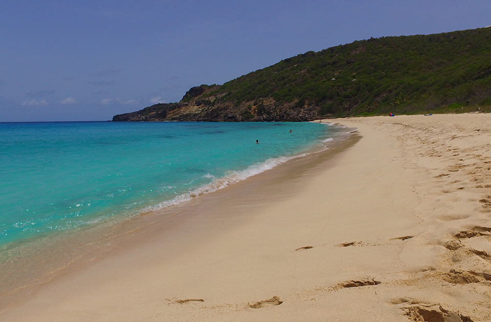 Two alluring women are relaxing on the nudist beach