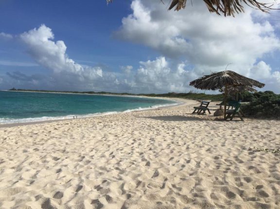 anegada big bamboo beach