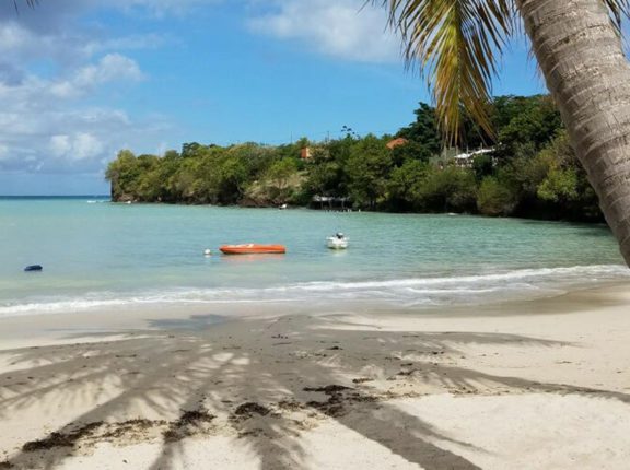 caribbean grenada photo beach