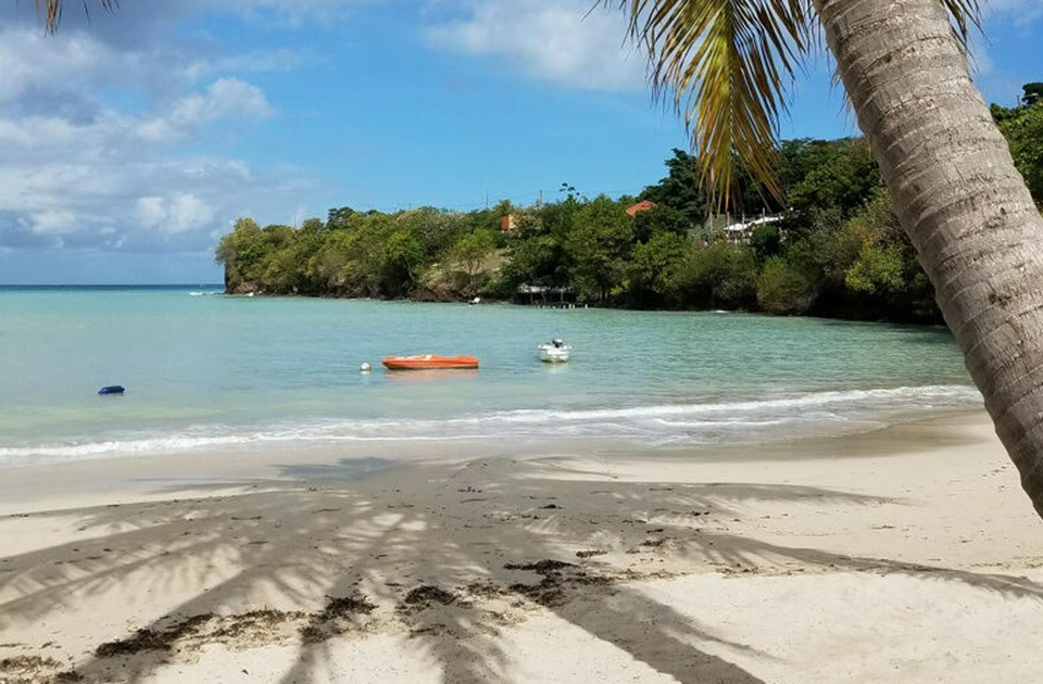 caribbean grenada photo beach