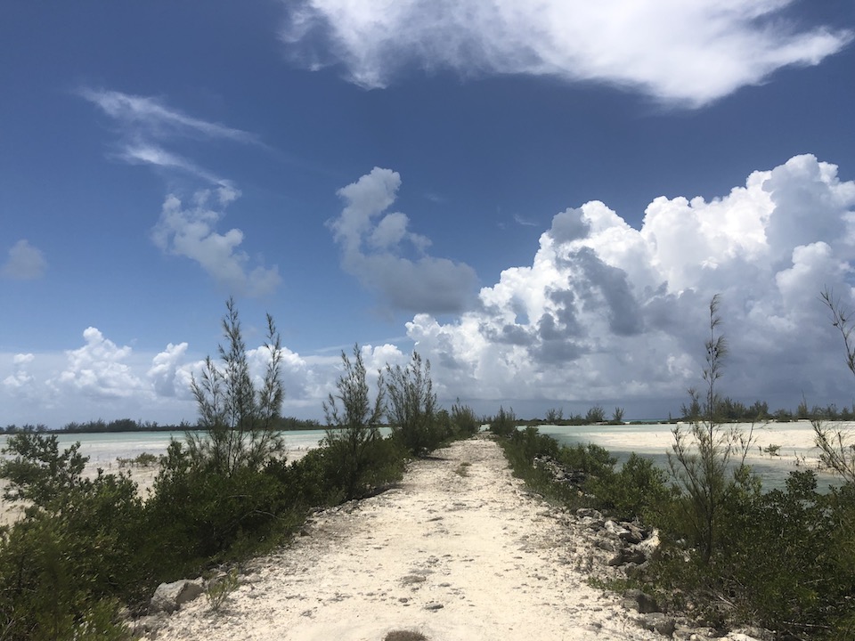 eleuthera bahamas bonefishing