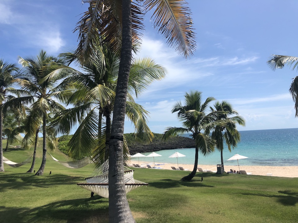 cove eleuthera bahamas