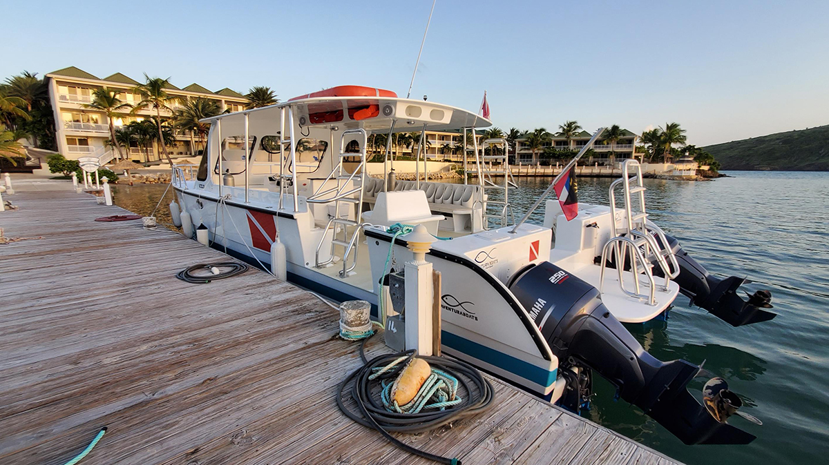 8 MustVisit Caribbean Dive Resorts