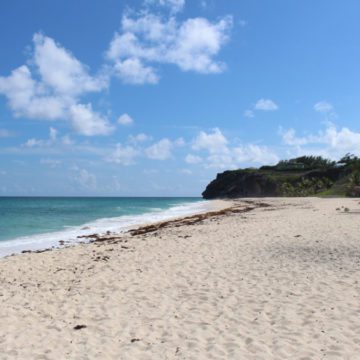 barbados climbing