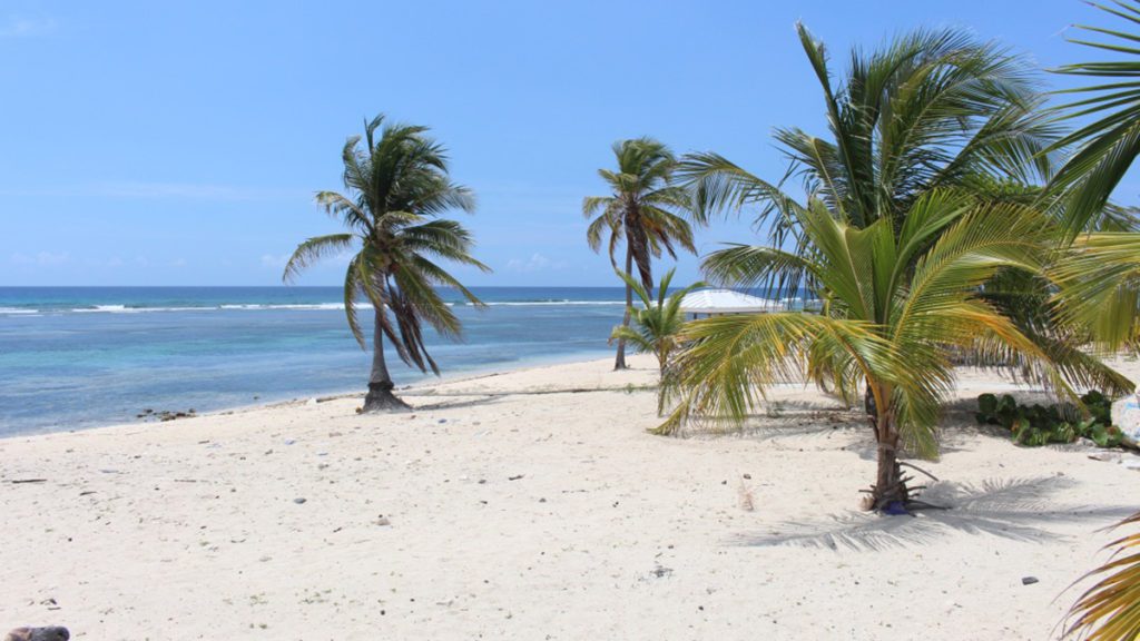 cayman islands happy hour