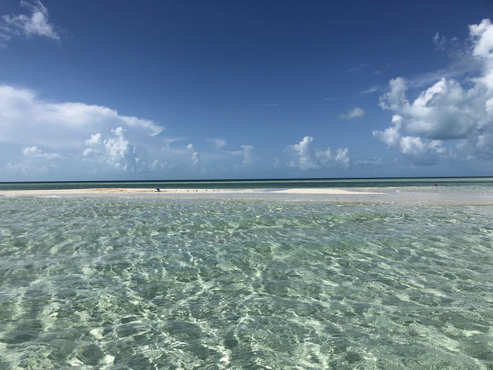 bahamas sandbar