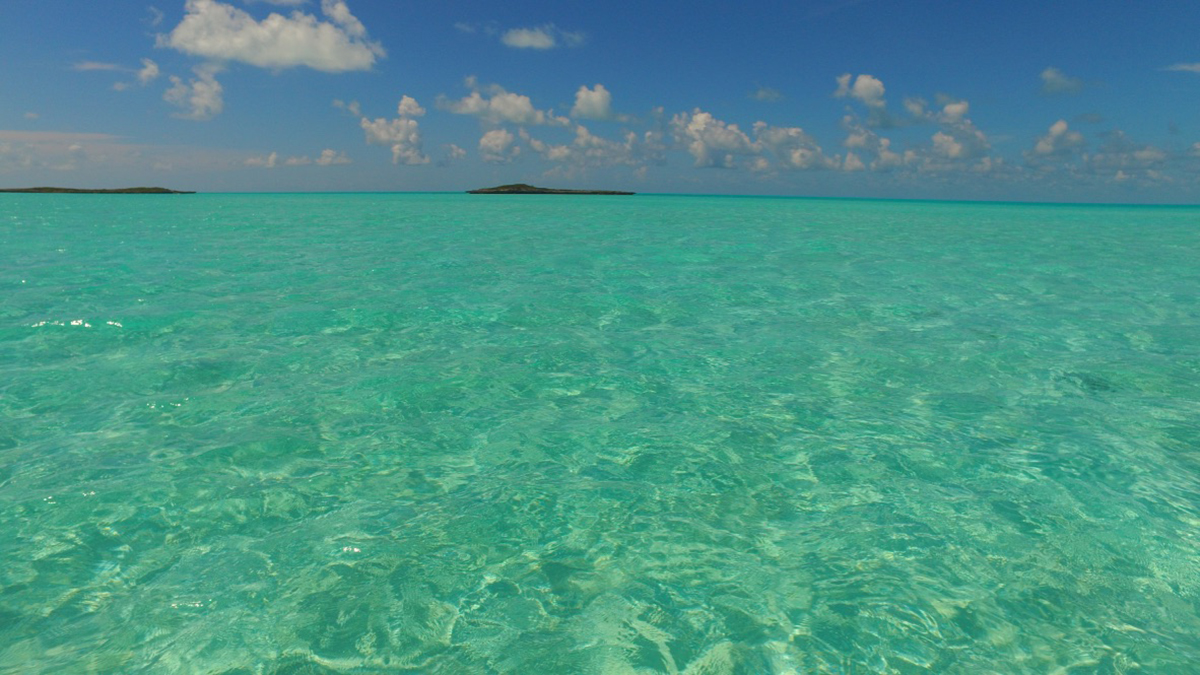 Bahamas Tourism Testing Preclearance in Florida