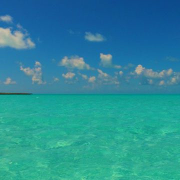 bahamas tourism record