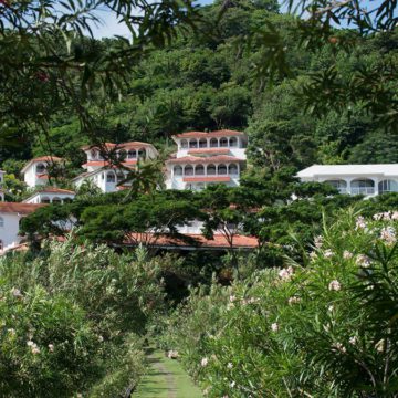 grenada mount cinnamon