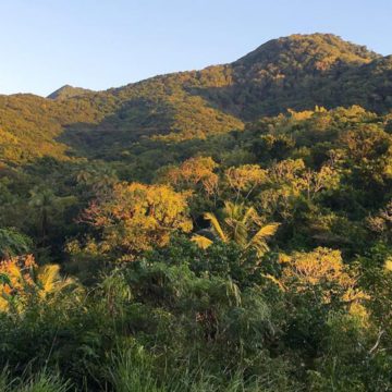 montserrat tourism milestone