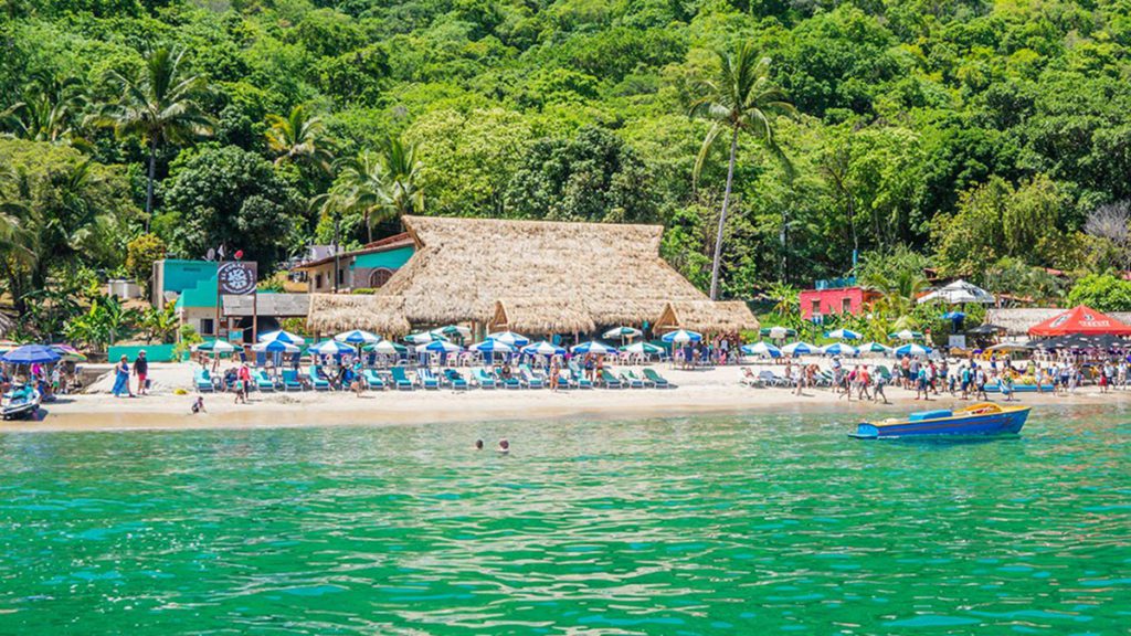 puerto vallarta flights swoop