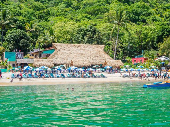 puerto vallarta flights swoop