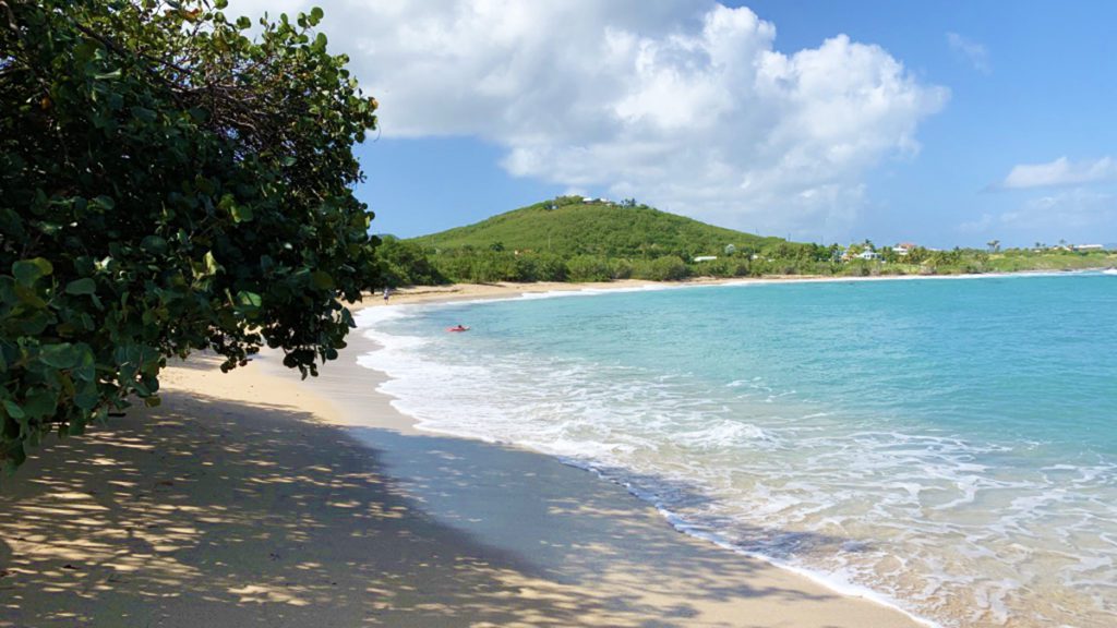 caribbean tourism arrivals record