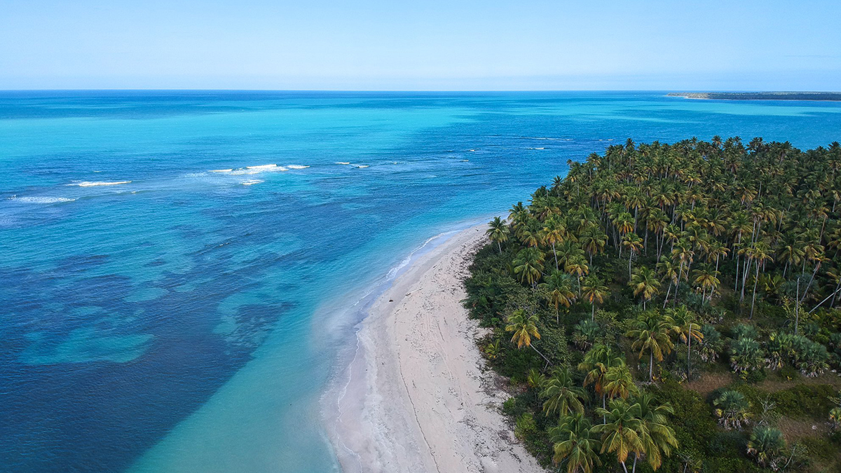 dominican republic grupo puntacana