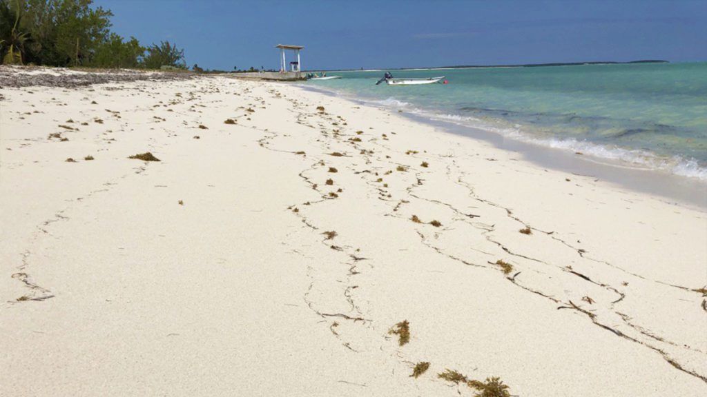 bahamas beaches best