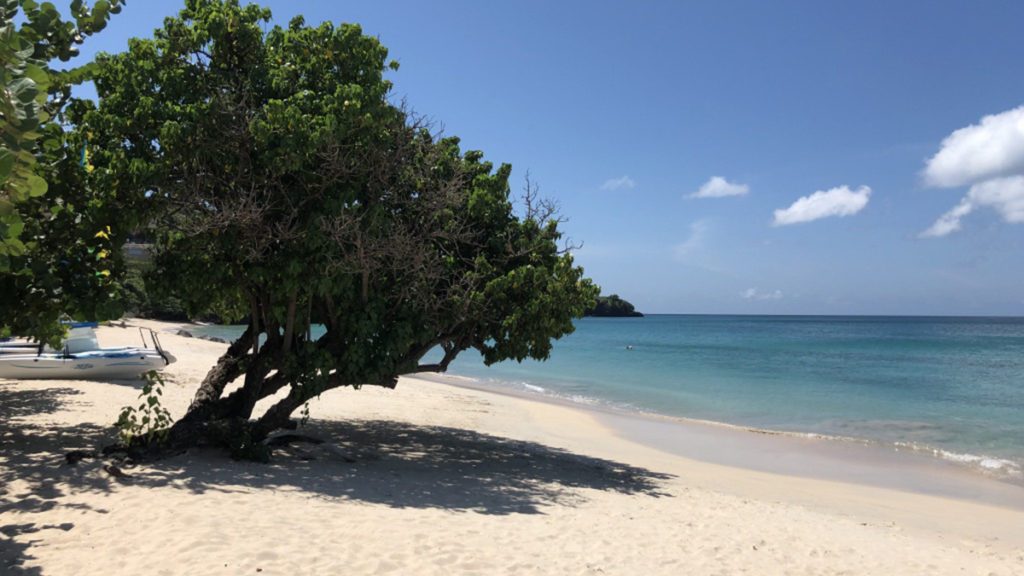 aruba st croix beaches
