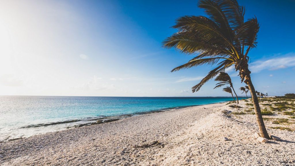 Caribbean Pink Sand Beaches