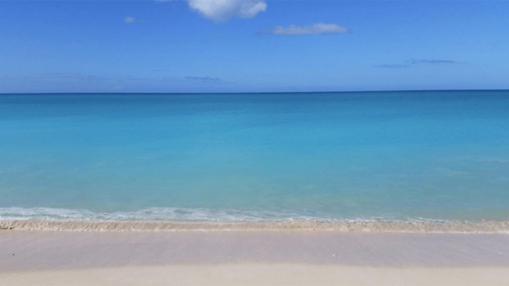 Caribbean Pink Sand Beaches