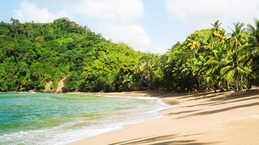 sunwing summer schedule