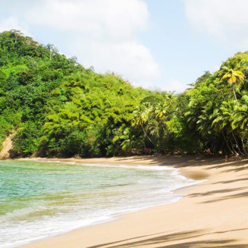 sunwing summer schedule