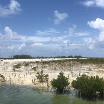 bahamas caribbean oasis