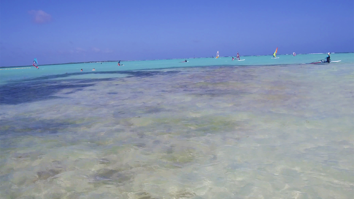 caribbean bonaire moment