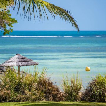 caribbean martinique lagoon