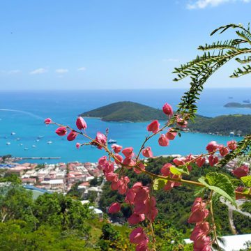 caribbean photo st thomas high