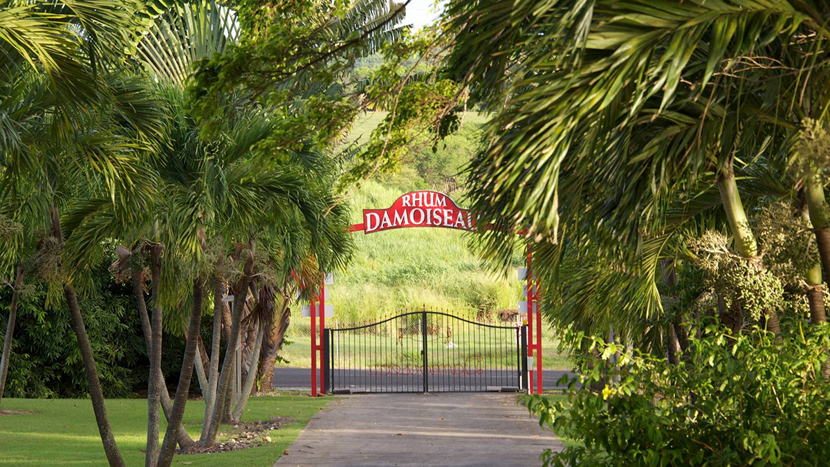 damoiseau guadelupe rum cover