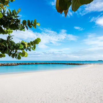 cayman islands cruise