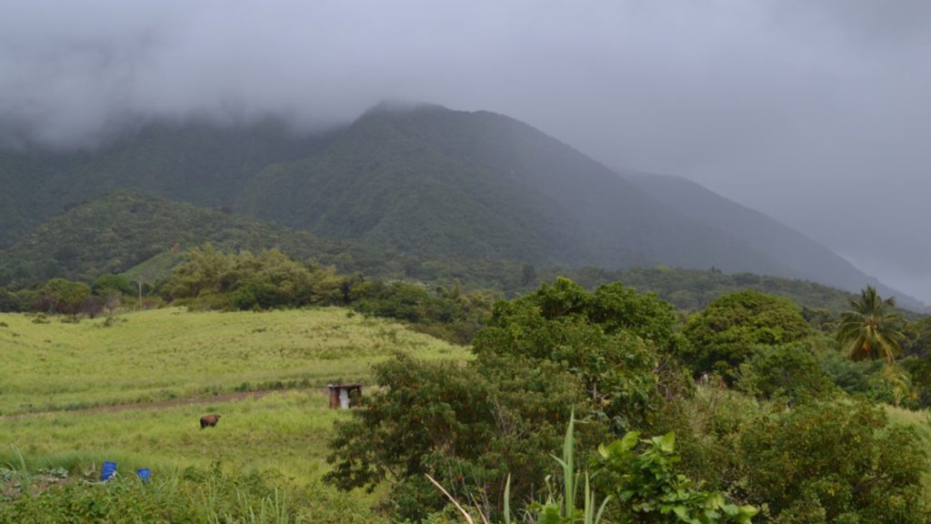 st kitts nevis coronavirus emergency