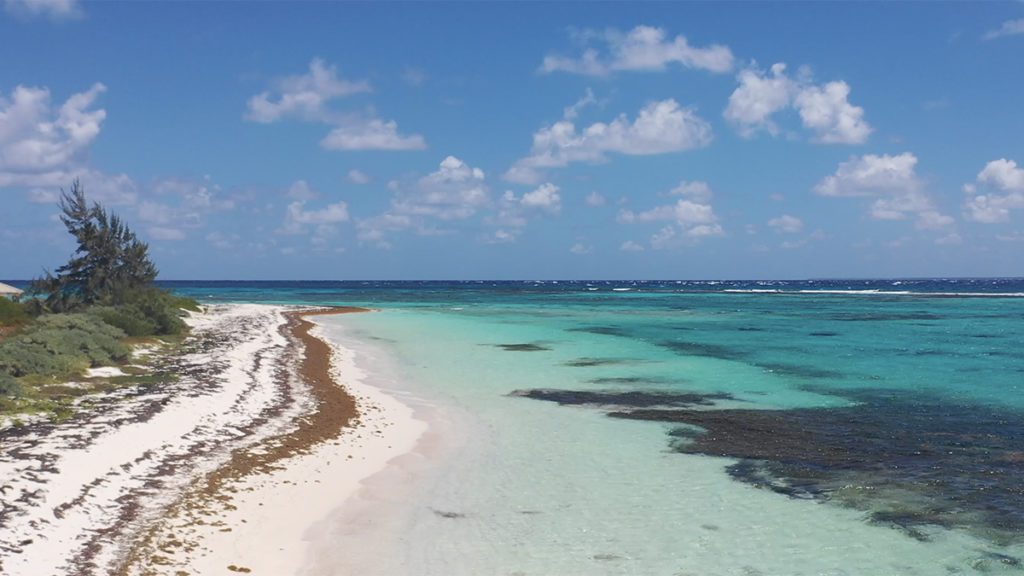 caribbean cayman beach