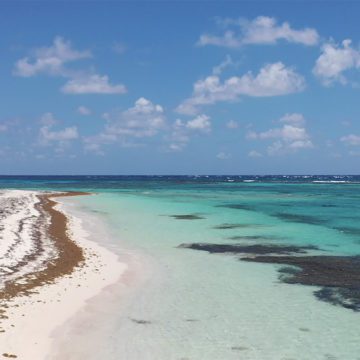 caribbean cayman beach