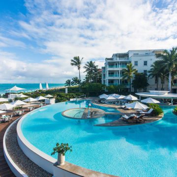 the palms