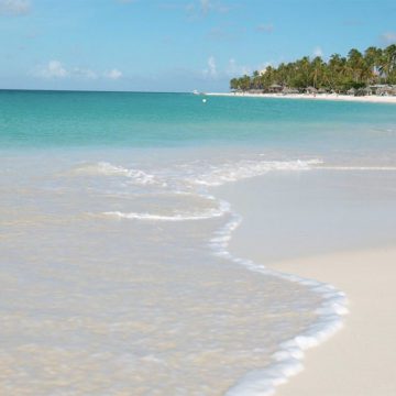 testing caribbean